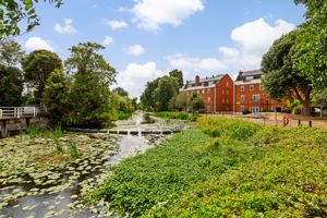 River Mole- click for photo gallery